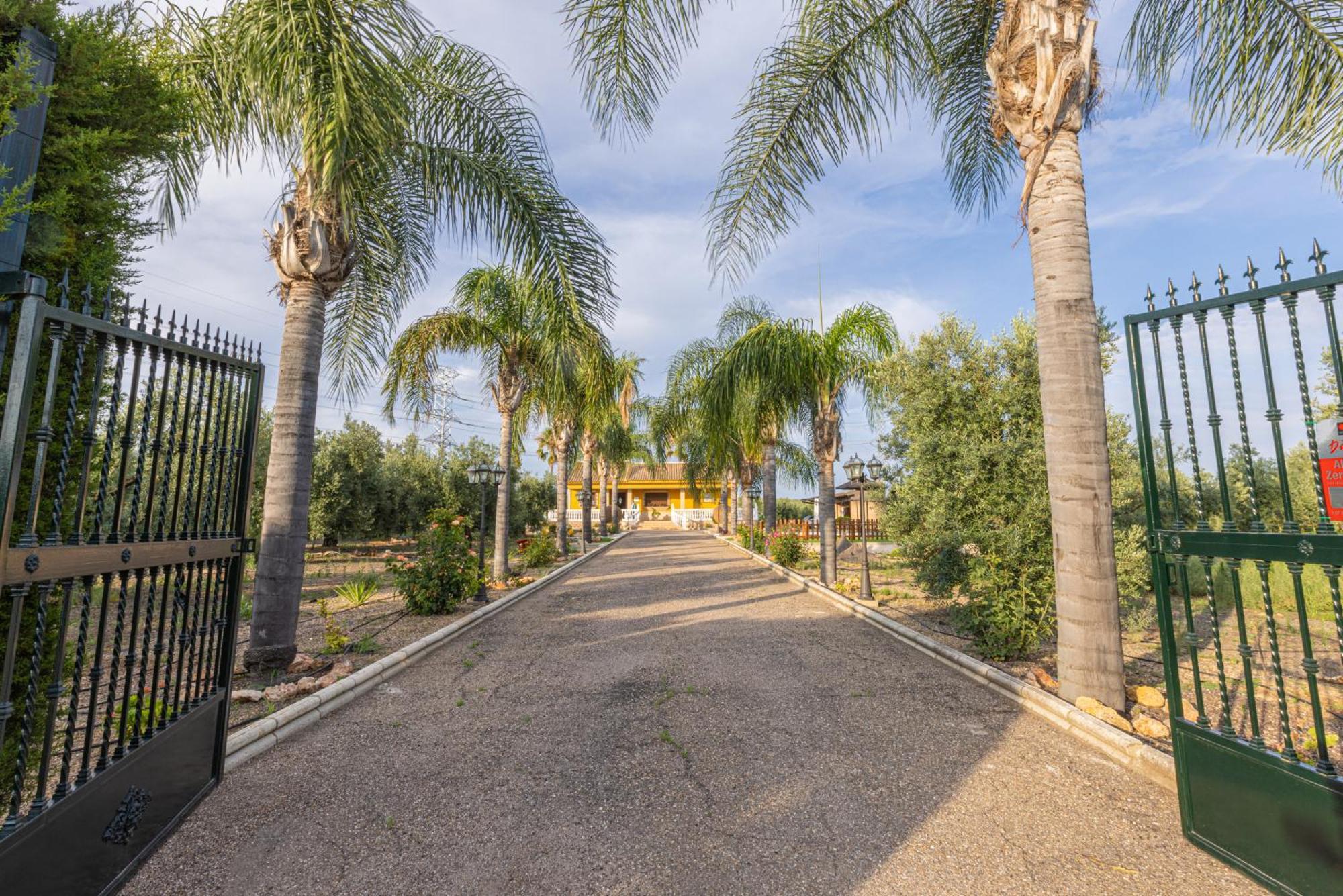 Casa Rural En El Entorno De Donana Villa Hinojos Dış mekan fotoğraf